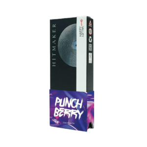 Disposable Vape - Punchberry